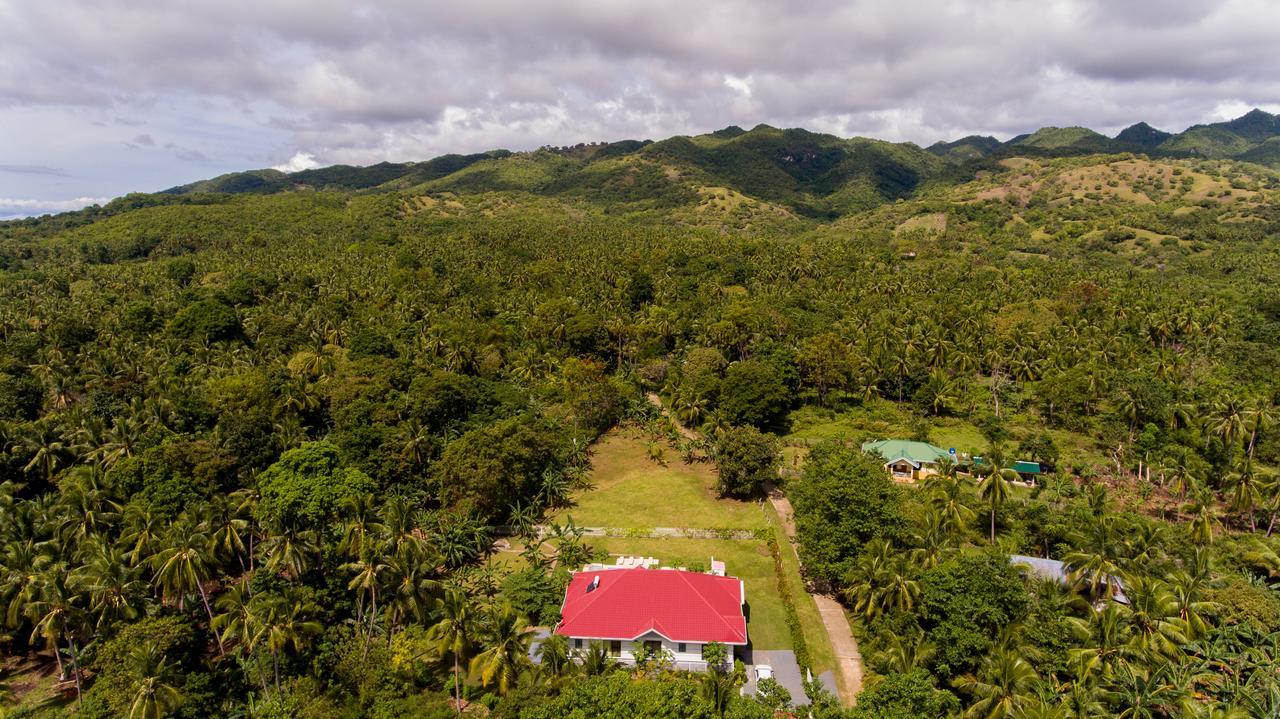 Bohol White House Bed & Breakfast Lila Exterior foto